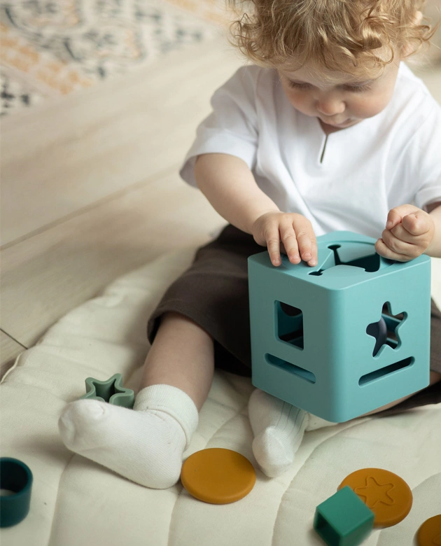 Развивающие игрушки